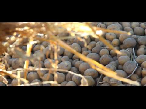 Stanin - "Bogactwo natury"