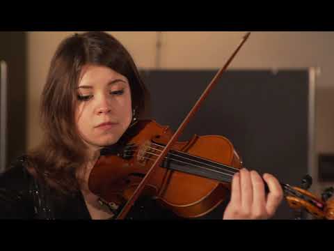 Soltane Ghalbha - Aref | Persian String Quartet (City String Ensemble)