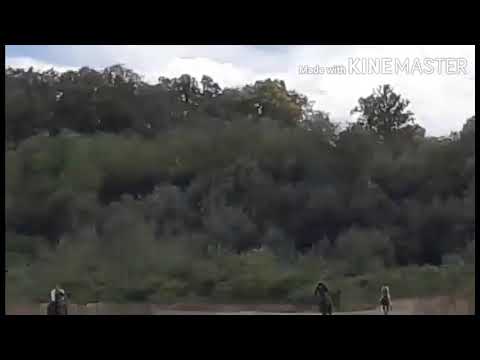 Trka krizanih konja Bijeljina 26.09.2020.