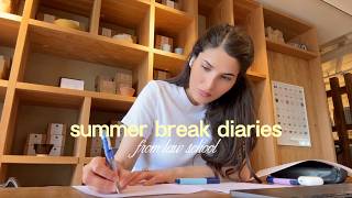 spending my summer break working on a legal case | living alone in copenhagen