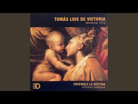 Descendit Angelus Domini à 5 (In Festo Sancti Ioannis Baptistae)