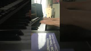 twin fantasy [those boys]. (car seat headrest cover)