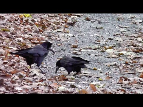 Out and a-bout with nature!