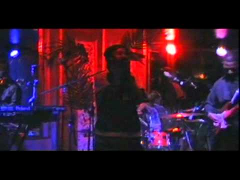 Aqua Livi - Concrete Jungle