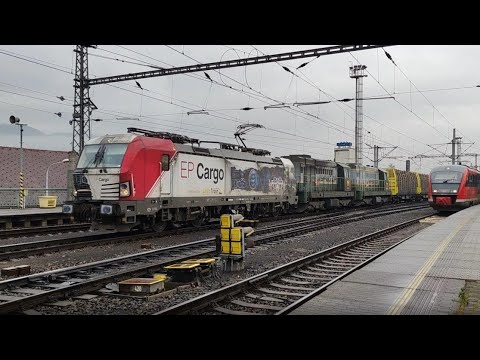 Bahnverkehr in Děčín - hlavní nádraží // 23.11.2022 // Trainspotting in Tschechien