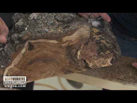 Burl Wood Bowl Blanks – Where Do You Start?