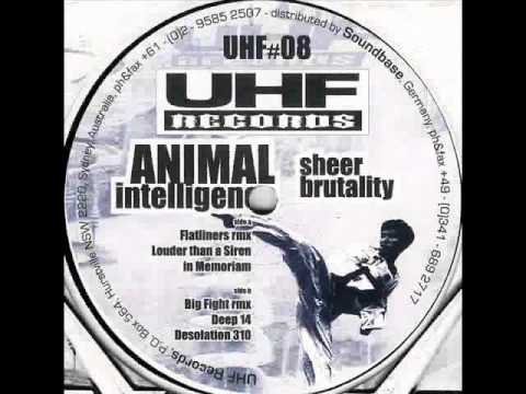 Animal Intelligence - Deep 14