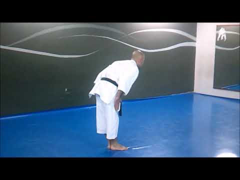 KATA SEISAN SHITO RYU