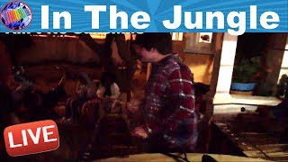 Lolo and Ali performing In The Jungle Live