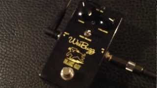 Video thumbnail for Black Cat Wee Buzz Fuzz - GUITAR by MrExcane