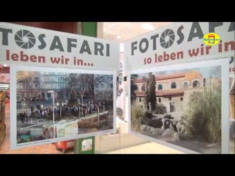 Ausstellung "Fotosafari"