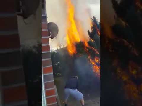 Das macht Herr Schmidt mal eben so ...