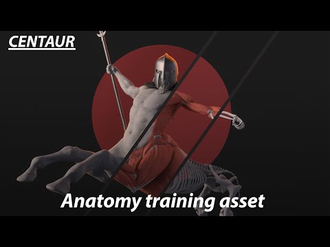 Showcase - Anatomy of Centaur - 3D model