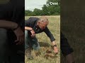 Wat leeft er allemaal in een koeienvlaai? | RTV Oost