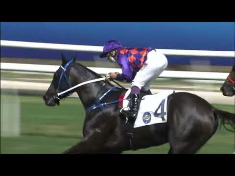 29/6/2022 (782) Kokushi Musou - A Badel