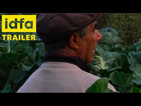 afbeelding Terra Que Marca