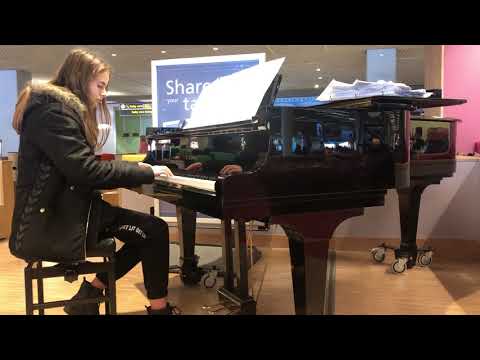 Playing Minecraft’s SWEDEN in public on piano