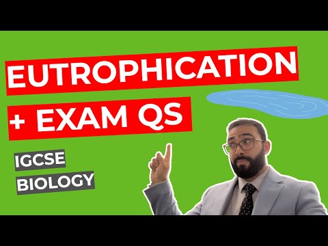 Pogil Eutrophication Answer Key