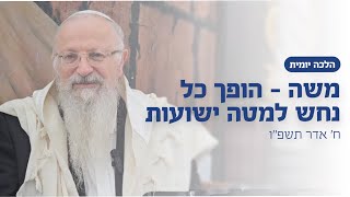 משה - הופך כל נחש למטה ישועות | הרב שמואל אליהו | הלכה יומית | ח׳ אדר תשפ״ו (הרב שמואל אליהו) - התמונה מוצגת ישירות מתוך אתר האינטרנט יוטיוב. זכויות היוצרים בתמונה שייכות ליוצרה. קישור קרדיט למקור התוכן נמצא בתוך דף הסרטון