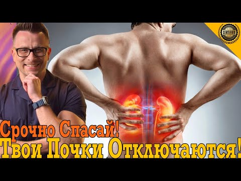 Твои почки бесшумно отключаются! Срочно спасай! Твои почки бесшумно отключаются! Срочно спасай!