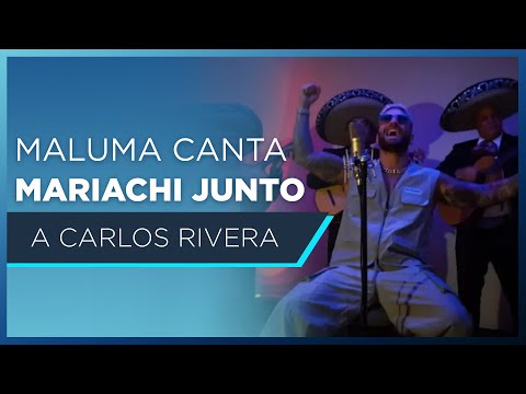 MALUMA canta con MARIACHI junto a CARLOS RIVERA [ Video Trending ] EstrellaTV