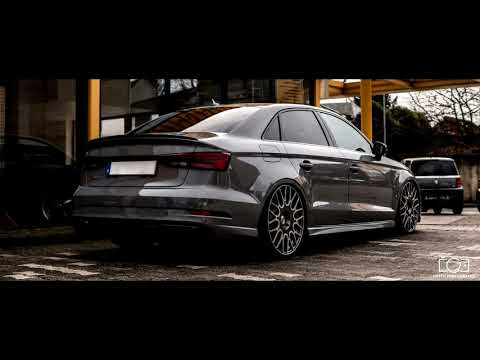 GAZDA PAJA X THCF - Auslander [FT BRAJA]