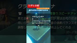 【 #ゼルダの伝説ブレスオブザワイルド 】リダヒの祠　錘の代わり