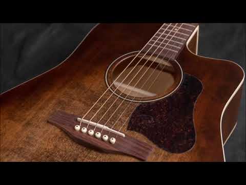 Acoustic Blues #1 - Guitarist