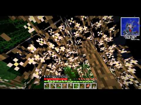 Let's Play TerraFirmaCraft (MARATHON) ~ Ep. 20 ~ I'M BACK