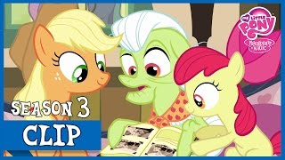 The Apple Family Album (Apple Family Reunion) | MLP: FiM [HD]