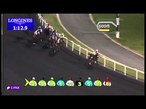 20.12.2012 Meydan (Dubai-UAE) 2.Race Mazrat Al Ruwayah-Group II 1.600m