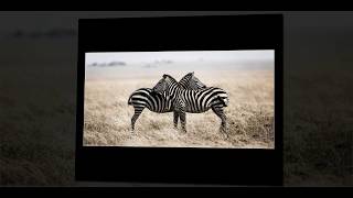 Le dossier QEP en images