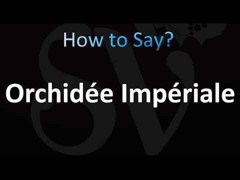 How to Pronounce Orchidée Impériale (Correctly!)