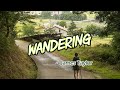 Wandering - KARAOKE VERSION - as popularized by James Taylor