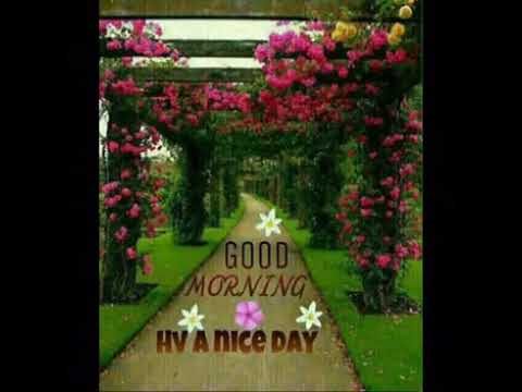 Sai teja reddy kayethi