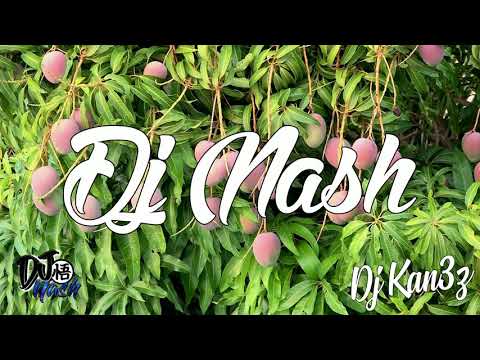 DJ NASH ft DJ KAN3Z x KAREN MENDEZ - OTRO TRAGO SECH DARELL (REGGAE REMIX 2k19)