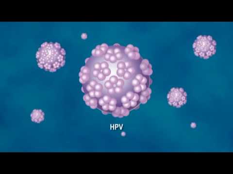 a hpv szemölcsök soha nem múlnak el)