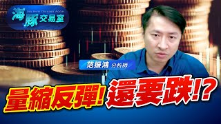 指數量縮反彈! 還要跌!? #3081聯亞 #3450聯鈞 #4979華星光 #海豚週報 (圖)