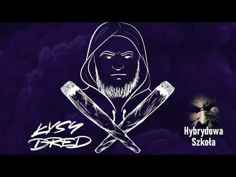 ŁysyDred - Hybrydowa Szkoła (prod. fewtail)