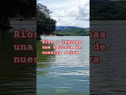 Disfruta de paisajes y lagos en el Sauce region San Martin Peru #travel #turismo