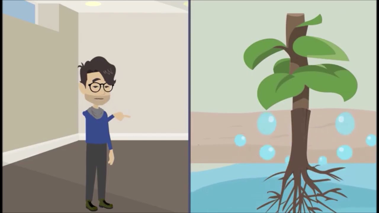 Recirculating aquaculture system