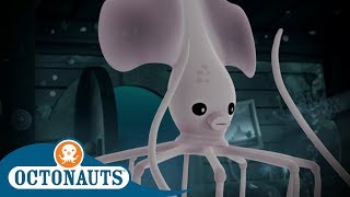 Clear Music Video