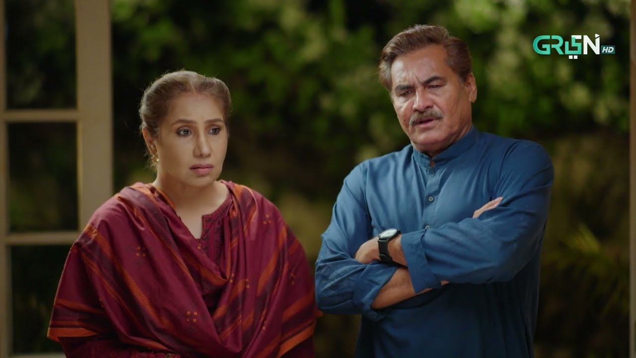 Aik Bhool Episode 56 | Best Moment 04 | Green TV Entertainment