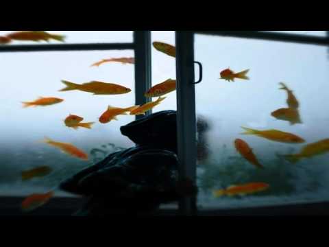 Leklåt ( Galliano, Richard )