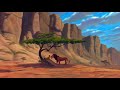 The Lion King Simba It S To Die For German