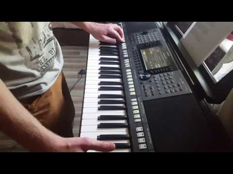 Top one - granica cover psr s770