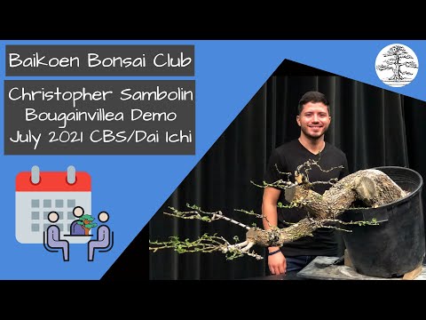 Christopher Sambolin - CBS VA - Bougainvillea Demo - July 2021 - Club Meeting - Baikoen Bonsai Club