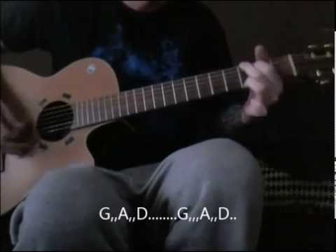 Wisst ihr was die Bienen träumen