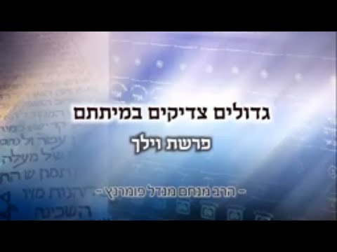 מסר אור החיים - פרשת וילך תשפ"א