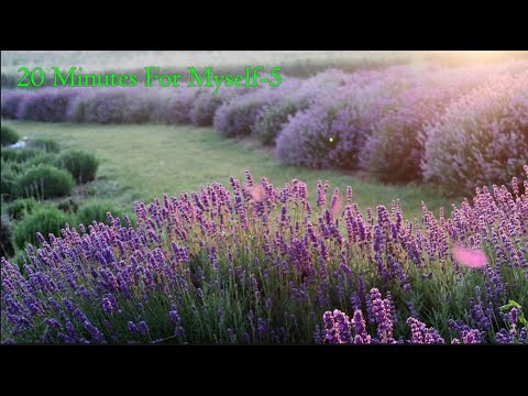 20 Minutes For Myself-5